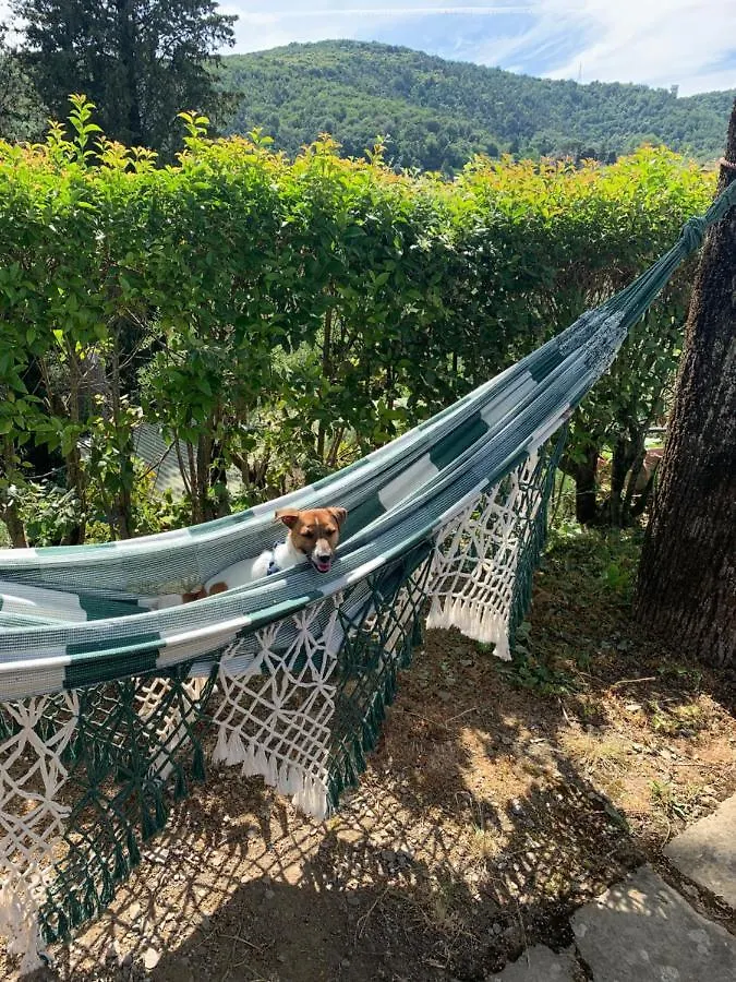 Barco Mediceo B&B In Toscana Carmignano